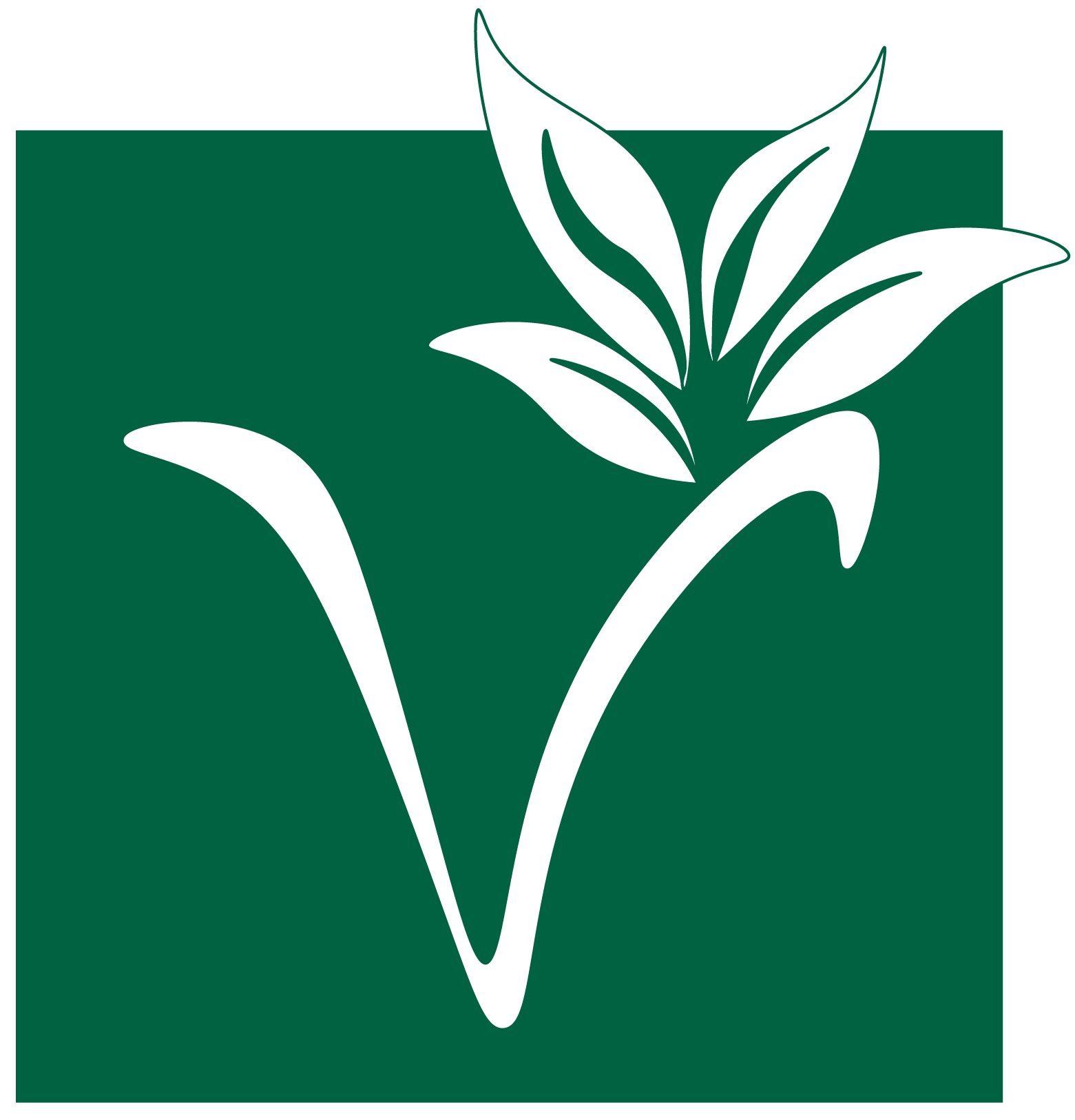 Vero Lanka Foods Logo